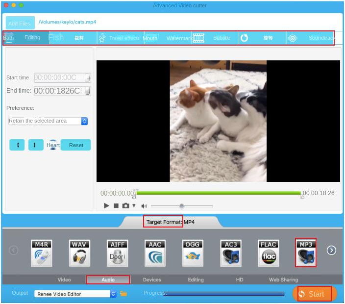 Exportar arquivos de vídeo convertidos