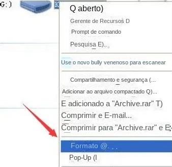 Clique com o botão direito do mouse e selecione a opção Format (Formatar).