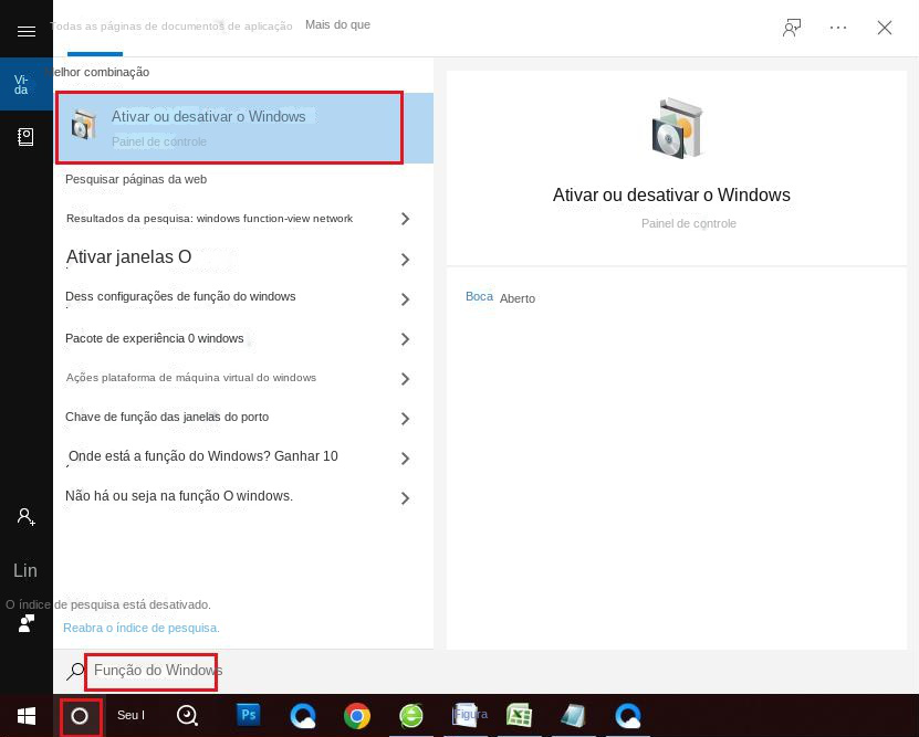 Abra o programa Ativar ou desativar recursos do Windows