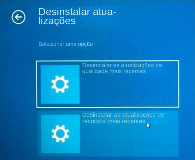 Selecione o tipo de atualização para desinstalar