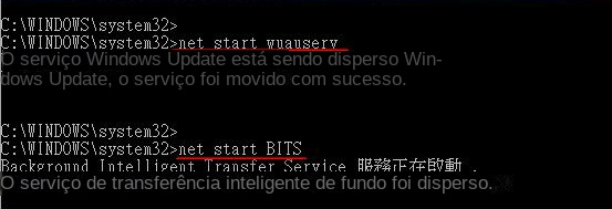 Digite net start wuauserv