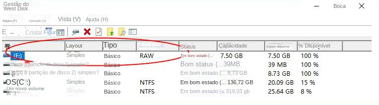 sistema de arquivos bruto