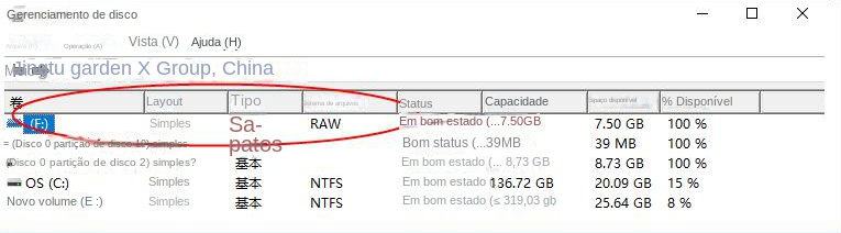 A partição do disco torna-se RAW