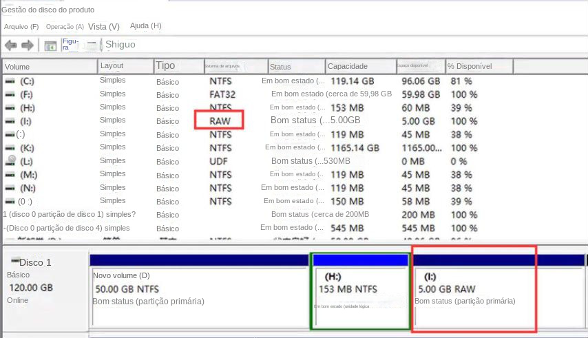 Unidade RAW seleciona opções de formato