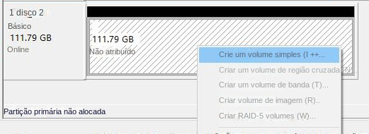 Selecione Novo volume simples