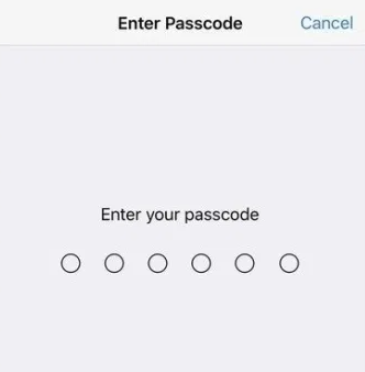 digite a senha de bloqueio de tela para redefinir a rede do iphone