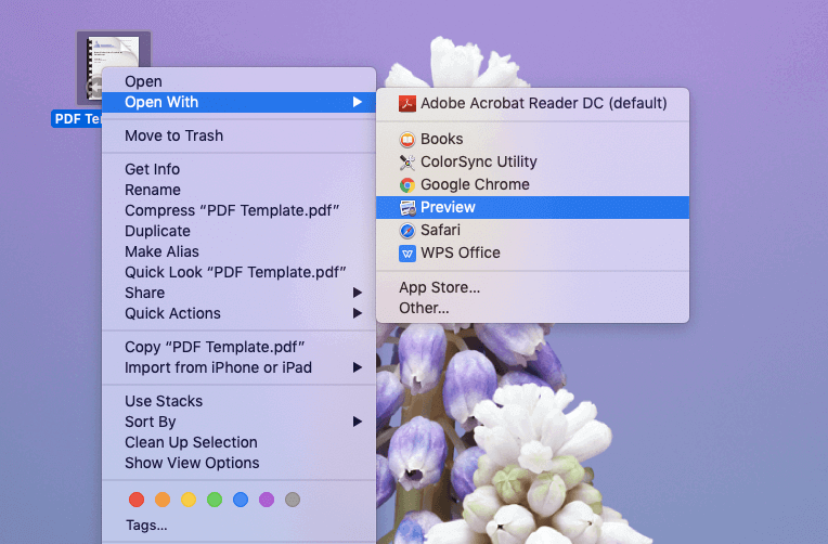abrir arquivos PDF com a visualização do mac por padrão