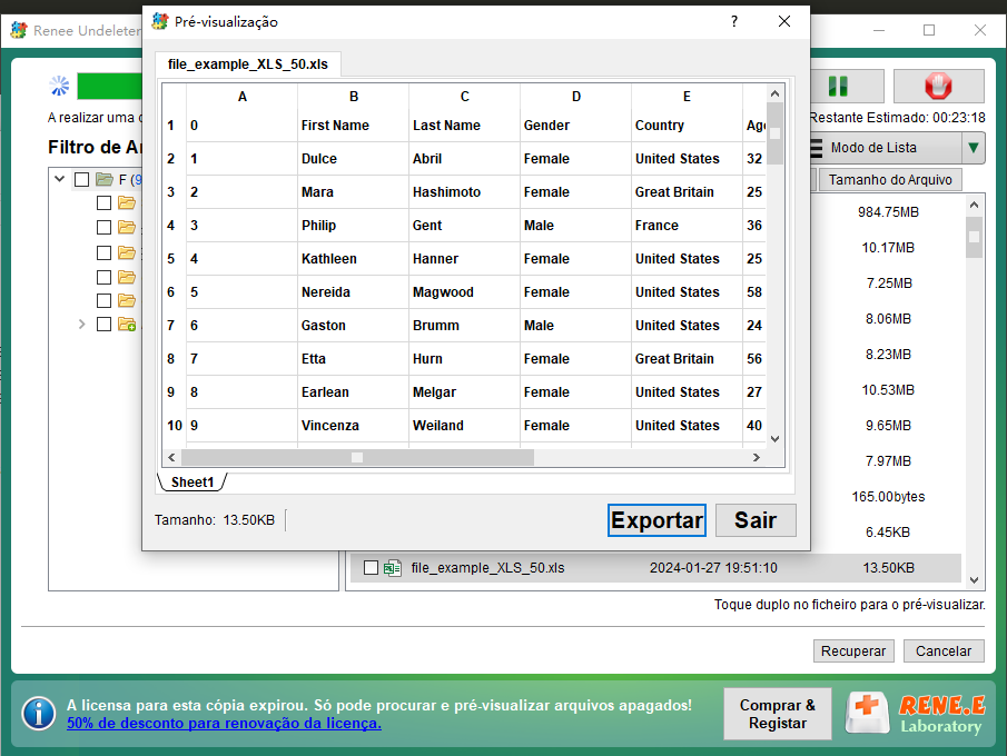 visualizar arquivo excel