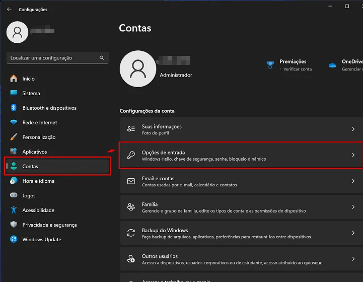 Configurações de conta do Windows 11, opções de entrada