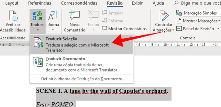 traduzir PDF no Word